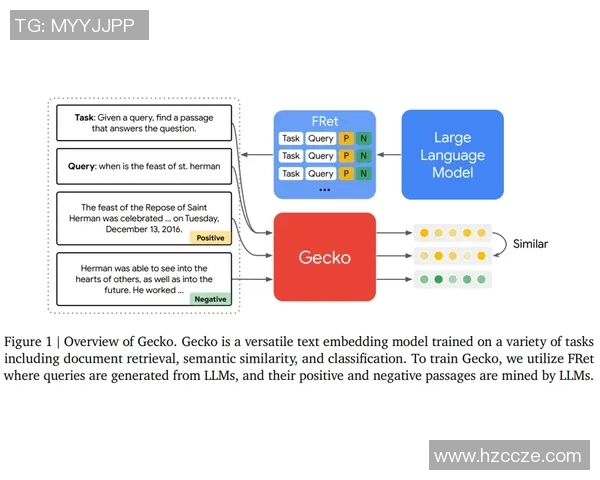 预测:维尼修斯胜率几何?数据模型告诉你答案 预测:维尼修斯胜率几何?数据模型告诉你答案